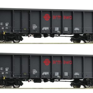 76001 Roco  set van 2 ERMEWA Eanos wagons  HO.